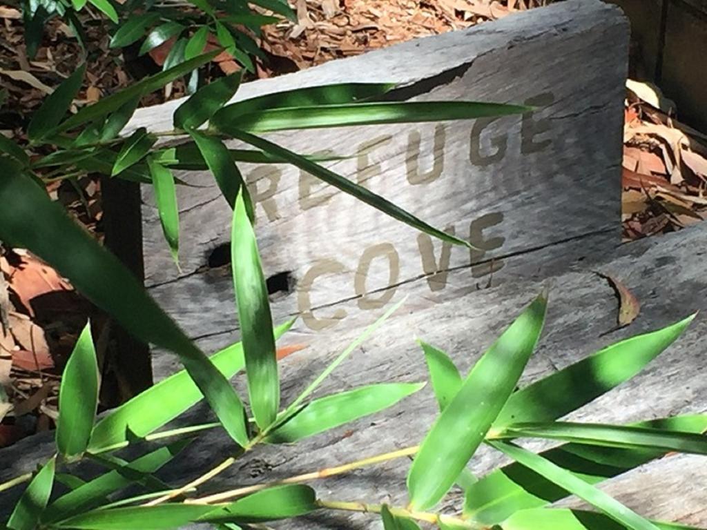 ClarevilleRefuge Cove On Pittwaterアパートメント エクステリア 写真